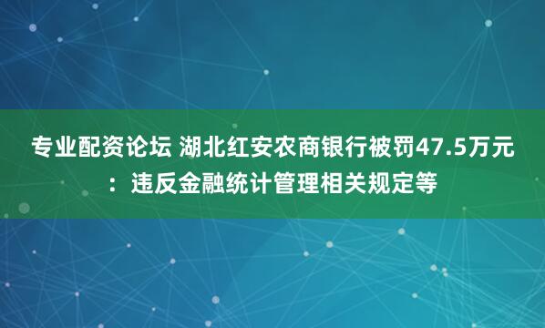 专业配资论坛 湖北红安农商银行被罚47.5万元：违反金融统计管理相关规定等